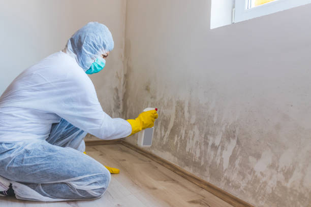 Crawl Space Mold Remediation treatment of floor joists in Mableton